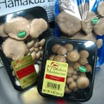 Hamakua Heritage Farms mushroom