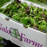 Nalo Greens ready to ship