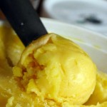 Tropical Dreams Ice Cream
