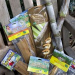Sugar cane products