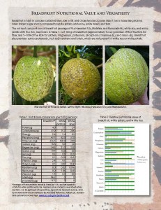 Breadfruit-Nutrition-Fact-Sheet_Page_1