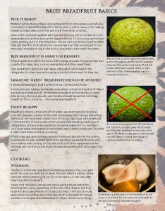 Brief_Breadfruit_Basics_Page_1