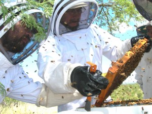 DSCN4974 MR_MF examining bee frame_RH photo_cr
