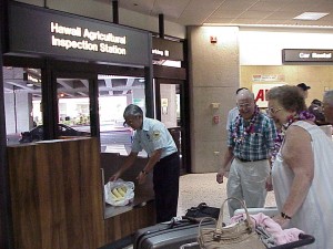 Quarantine inspector at the Honolulu airport inspection station