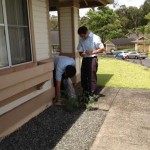 Looking for ant pathways to test.