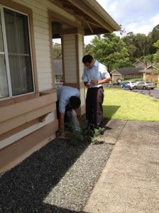 Looking for ant pathways to test.