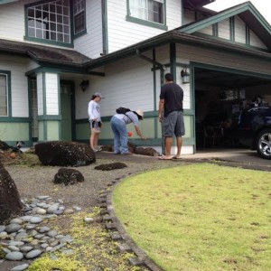 LFA can invade homes.