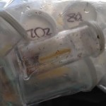 Vials are collected and will be analyzed back at the lab.