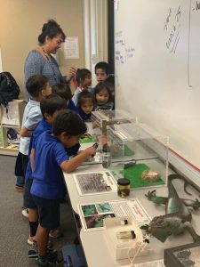 Plant Quarantine Education Specialist Kent Dumlao took the show on the road to Kamehameha School's Kapalama Campus where he spoke to 75 sixth graders on February 20th, 2019.