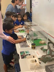 Plant Quarantine Education Specialist Kent Dumlao took the show on the road to Kamehameha School's Kapalama Campus where he spoke to 75 sixth graders on February 20th, 2019.