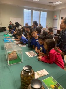 2nd grader students from Palisades Elementary School visited the Plant Quarantine Office near Sand Island on March 7, 2019 pic 2