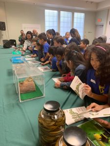 2nd grader students from Palisades Elementary School visited the Plant Quarantine Office near Sand Island on March 7, 2019 pic 4