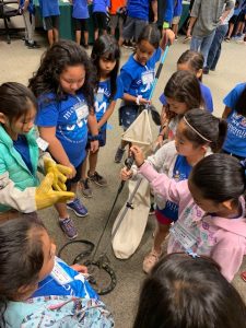 Snake catching with kids