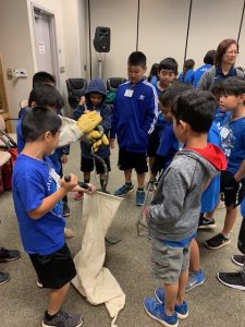 The right way to bag a snake