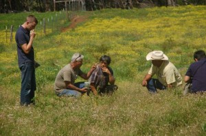 Maui Ranchers assist