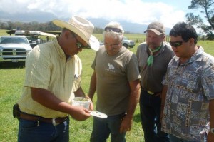 Ranchers & Ento