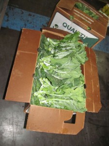 CAP-bokbox