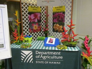 HDOA Display
