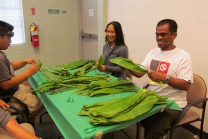 ti-leaf experts