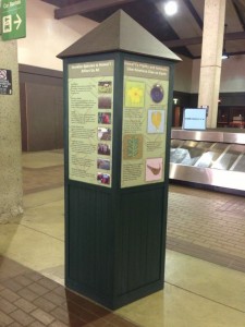Lihue Airport KISC Poster
