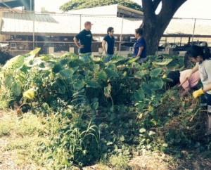 Farm2School2-loired