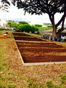 Farm2School5 -done