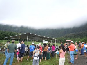 DSCN5150
