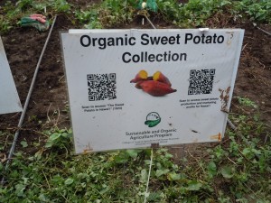 DSCN5159