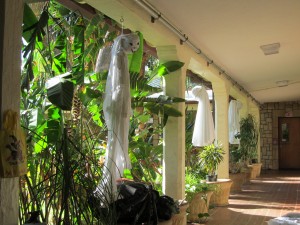 IMG_2149