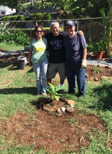 ulu plantingr