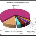 1980 pie chart final