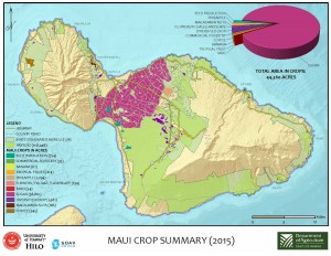 65_MauiCropFinal (002)