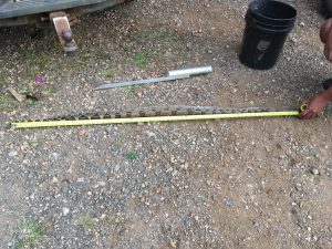 picture of snake full body with measuring tape