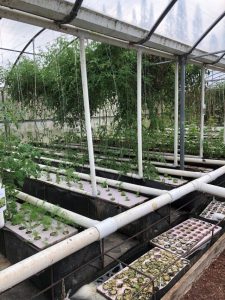 UH-Hilo Aquaponics Farm